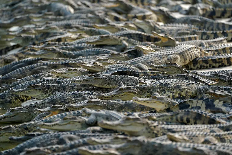 9f716607ca6ff0bd6764e47e5c29c669