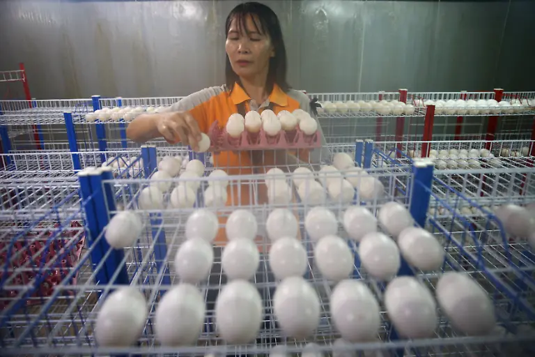 f3c41c26b4f859c5f811f2fa28e4954d