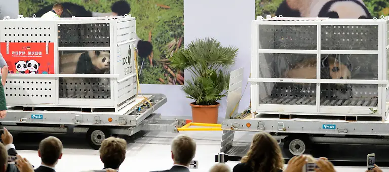 87065ec681a0873361414b618c19d5ae