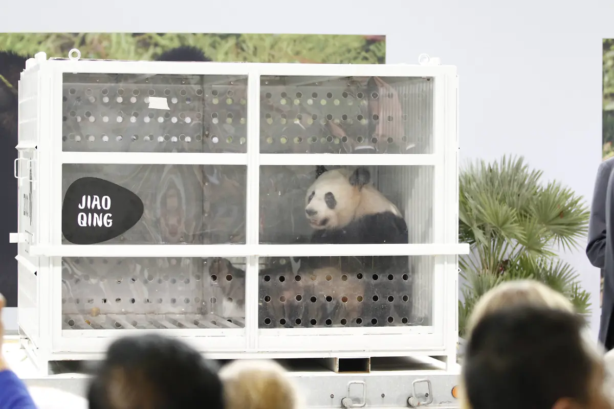 29f7a71e814bcff453f888a644c019b1