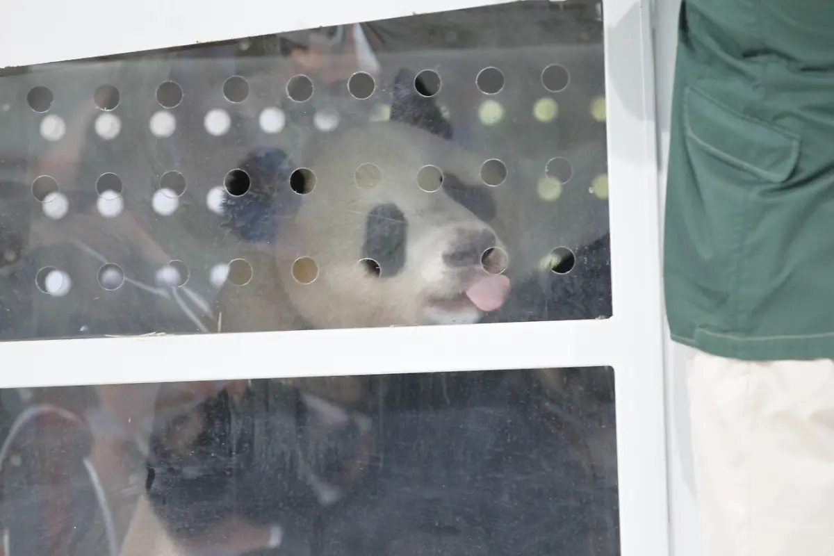 5b096398285c66d5d73f85ce847df77d