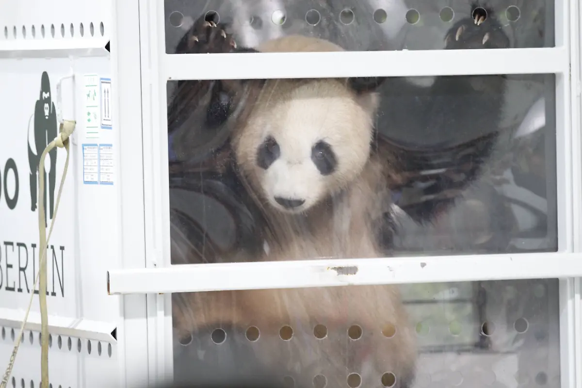 a96cccfa53c9a53f34ddfb4411df2c0d