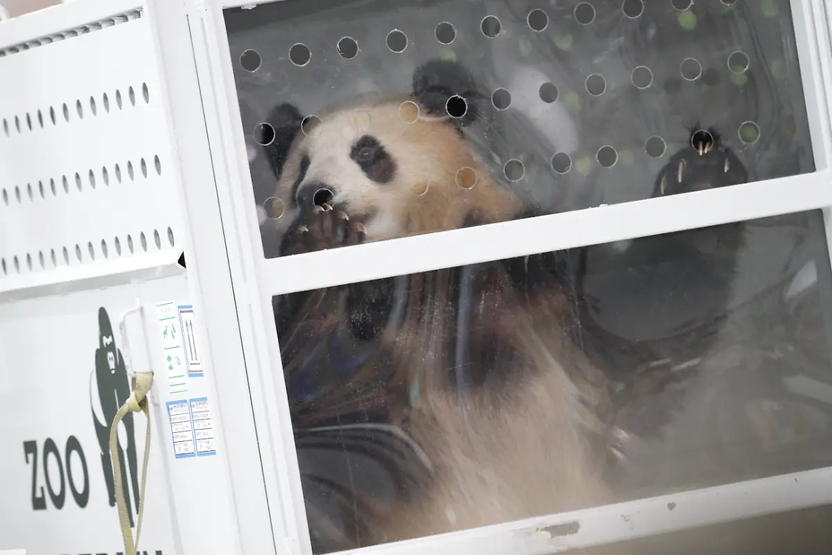 cdc162825f4b40416827406f38eae250