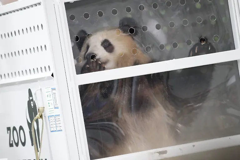 cdc162825f4b40416827406f38eae250