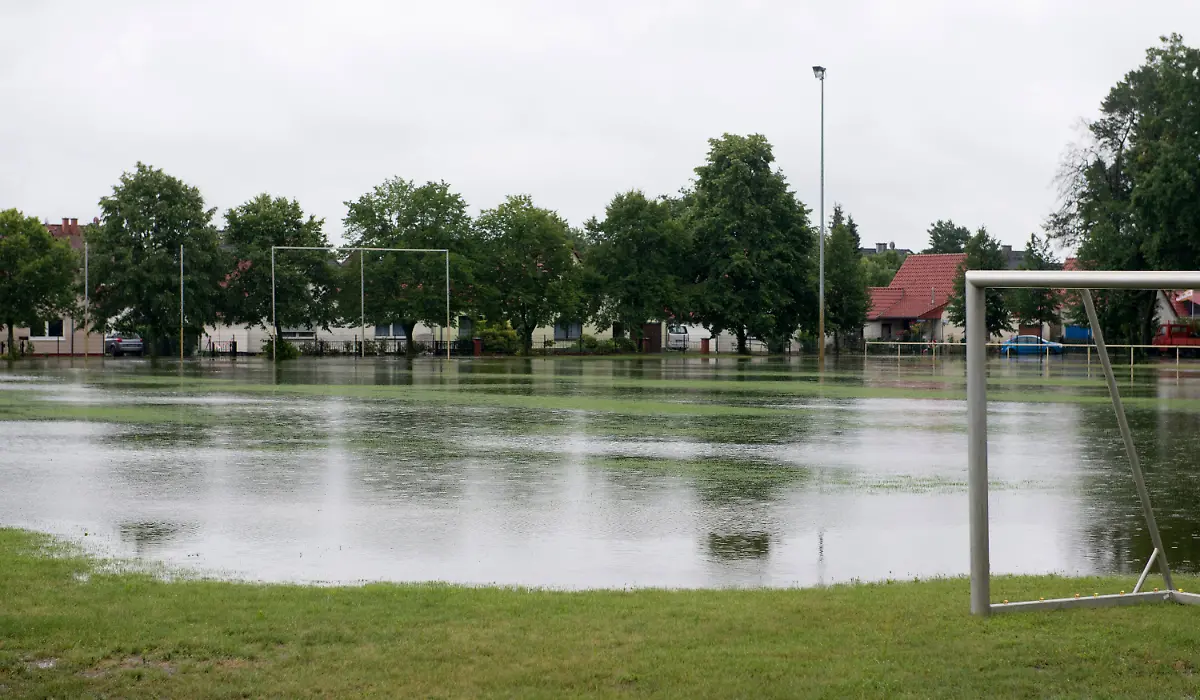 ce7bbd3acc5583e71c0dc20f7432865c