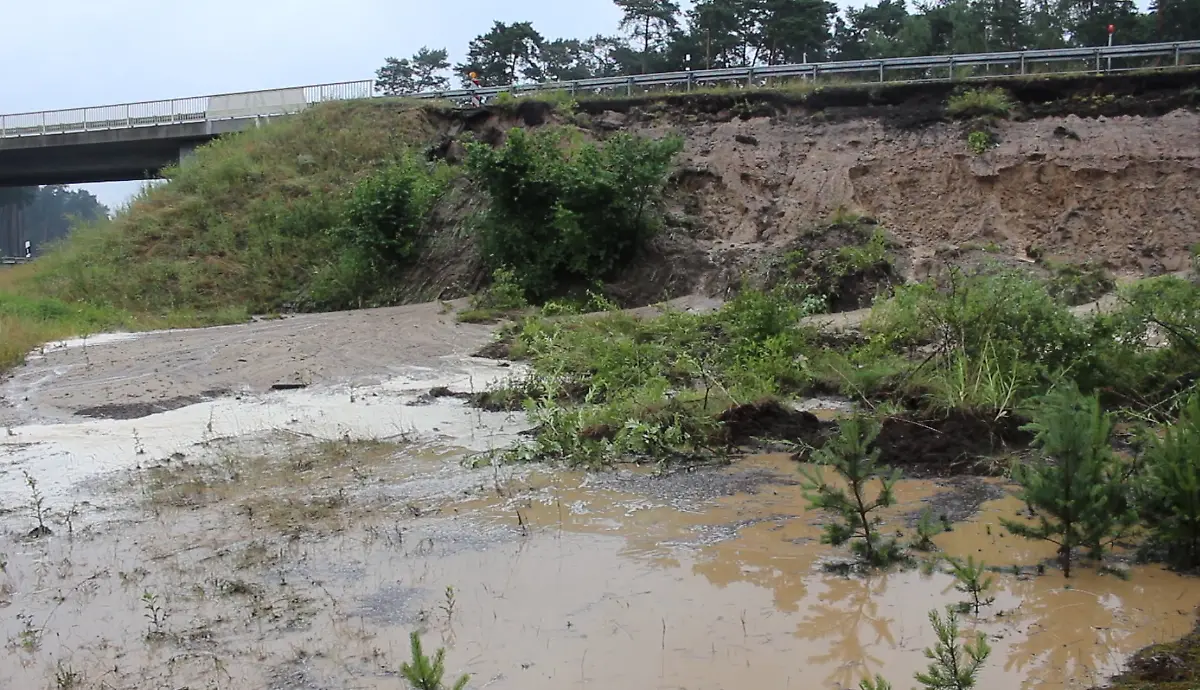 f44ca54cb7e64a4b1f87c22c9a069446