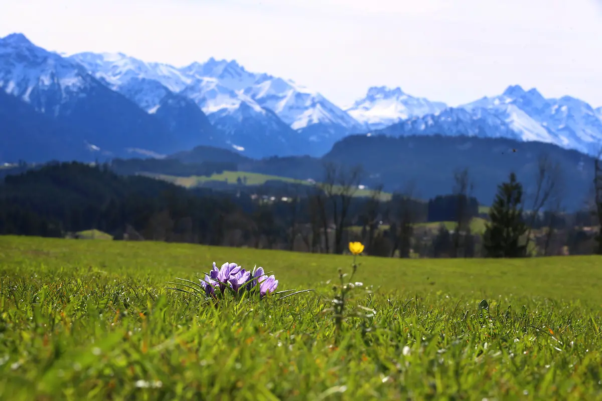 0018638b4187687e0fd7d18d5c24986f