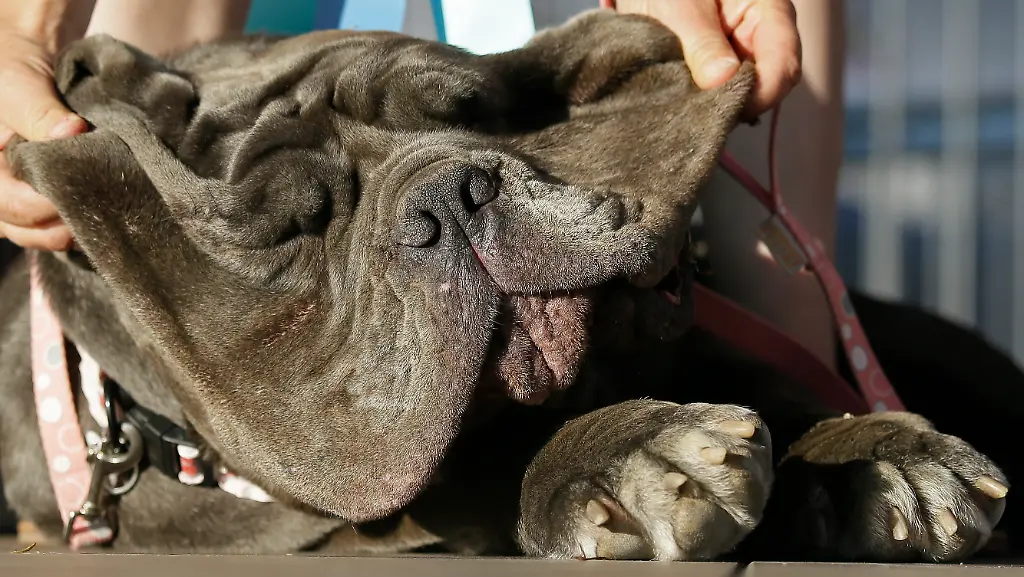 190fc65f1a13dfb8b966feb14b12bc20