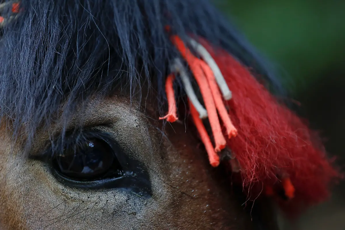 eda8a7d1da0d0a31ba8e759c5c653720