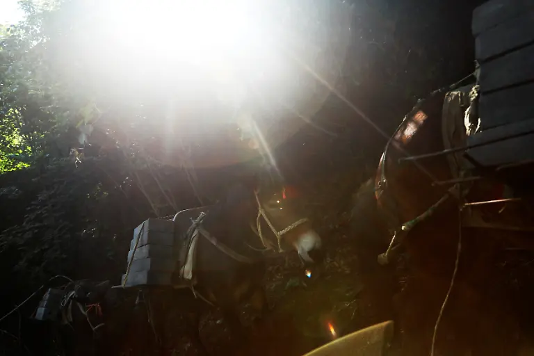 d0817ee6b3ad1bd17b12c26ac118c415