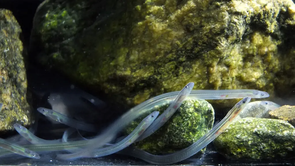 ACHTUNG-Nur-zur-redaktionellen-Verwendung-im-Zusammenhang-mit-der-aktuellen-Berichterstattung
