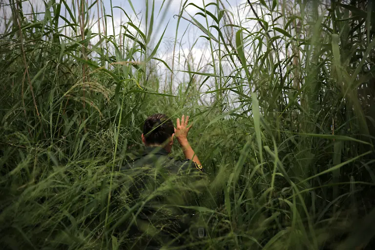 6696e62a775a129a570a5558025f0d1c