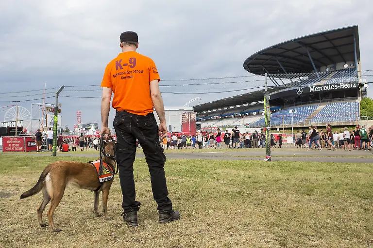 069b7ea8a70ab8da14cef567ec294037