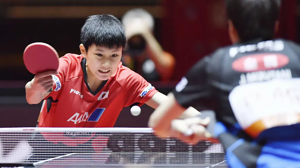 b70a7dd45a48ab307b391ff4a23e2958