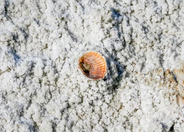 3072854e40c7fc4894f912e88f8981c1