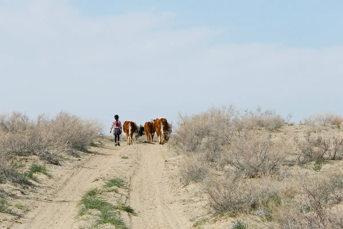 db87e3422eb4cdc1f19d679a04ab1ead