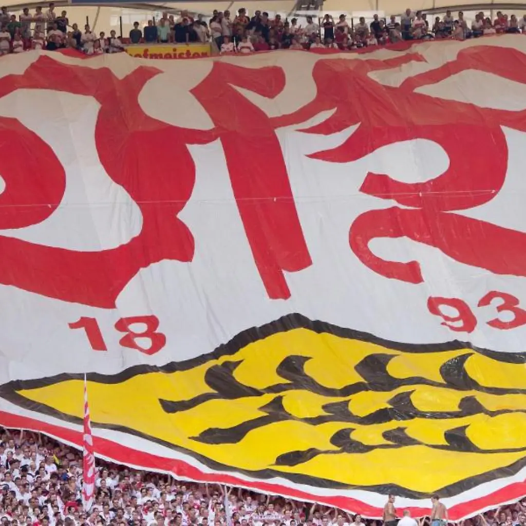 Vereinslogo-Banner