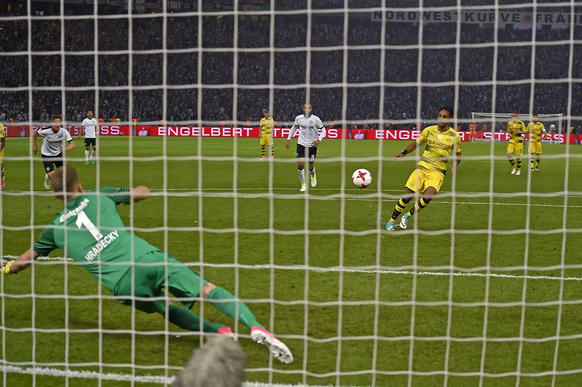 6d44363e440da879296eab1b7e16d13e