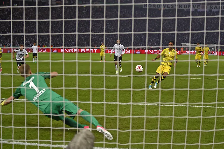 6d44363e440da879296eab1b7e16d13e