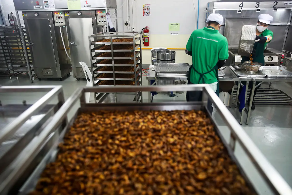 kleine-fabrik-bangkok