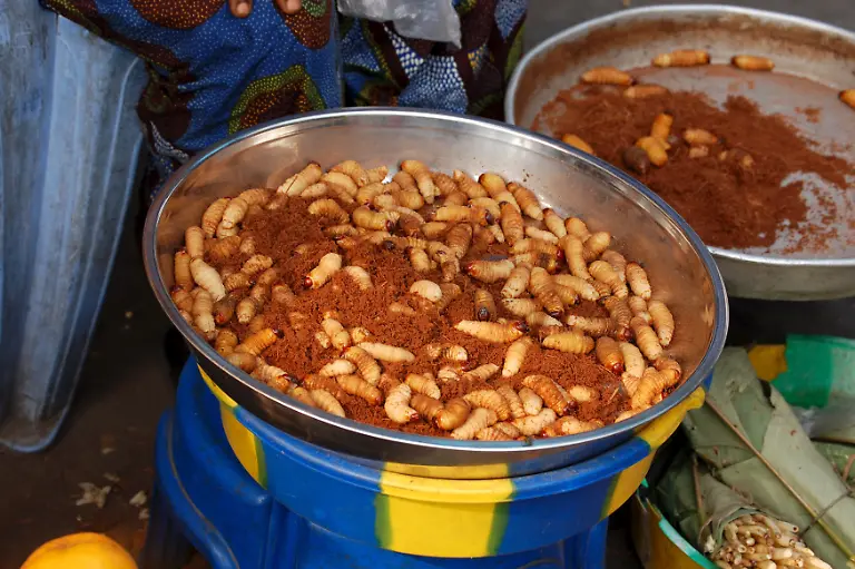 getrocknete-Raupen-Kinshasa