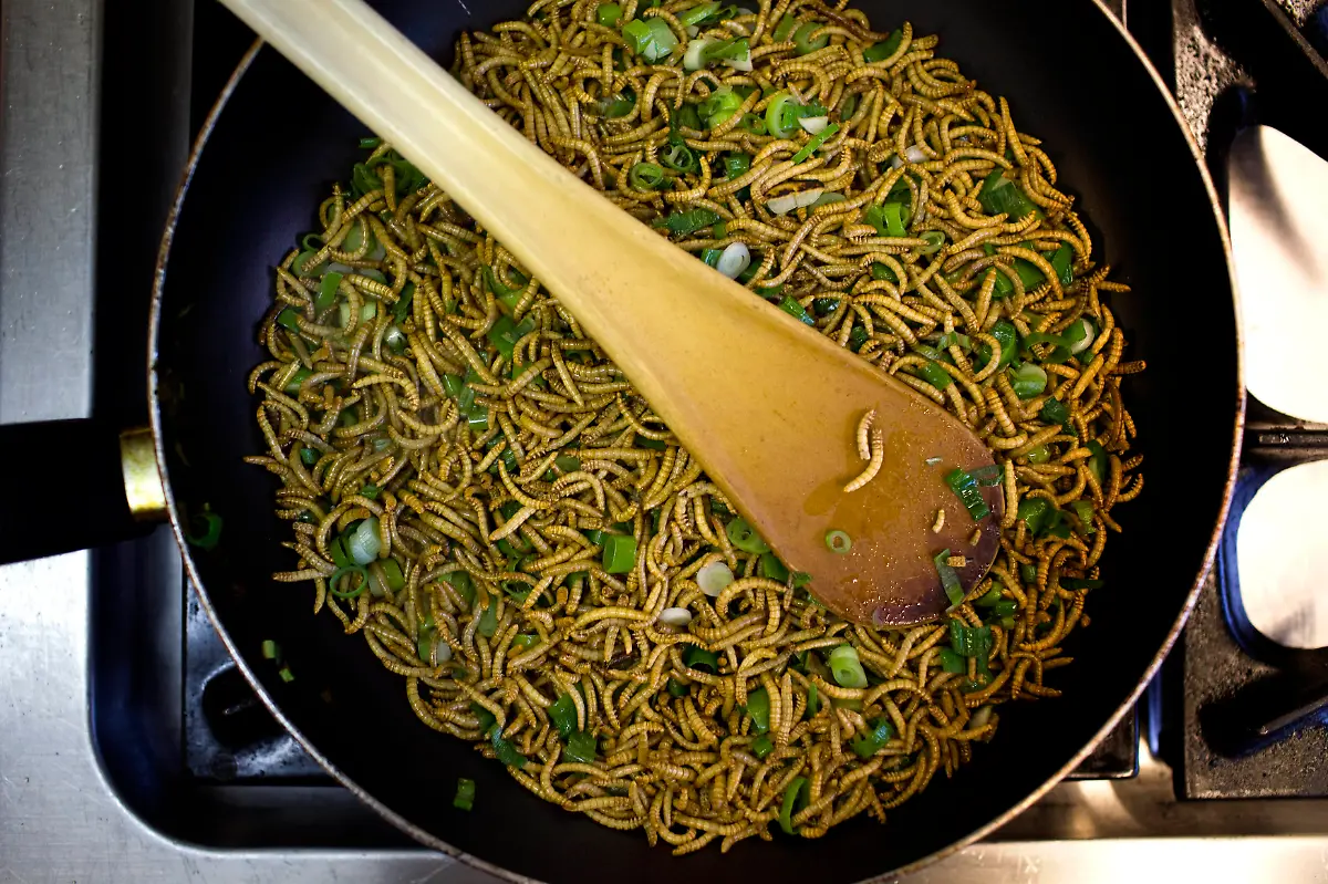 Mehlwurm-Lauchzwiebeln