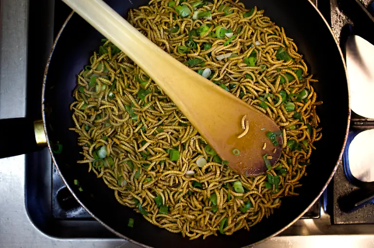 Mehlwurm-Lauchzwiebeln