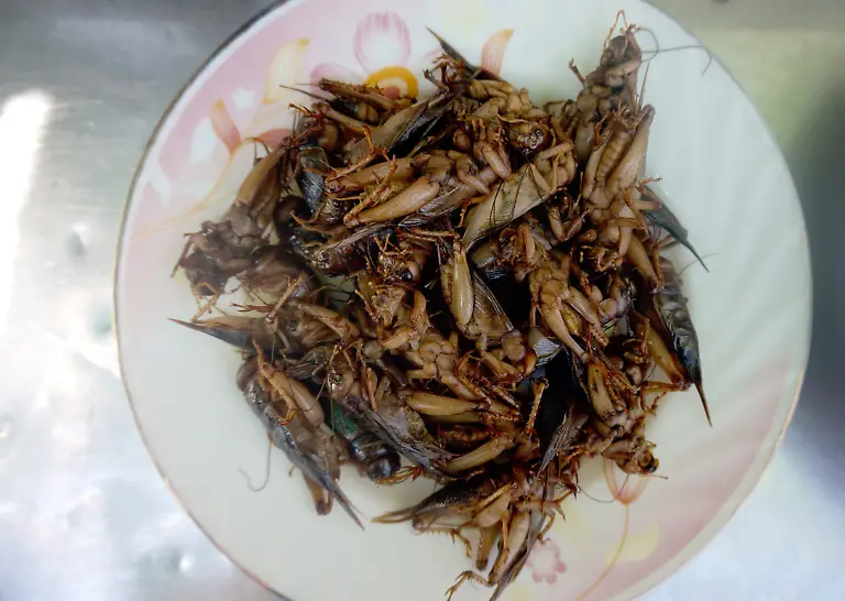 Grillen-Kambodscha-fertig