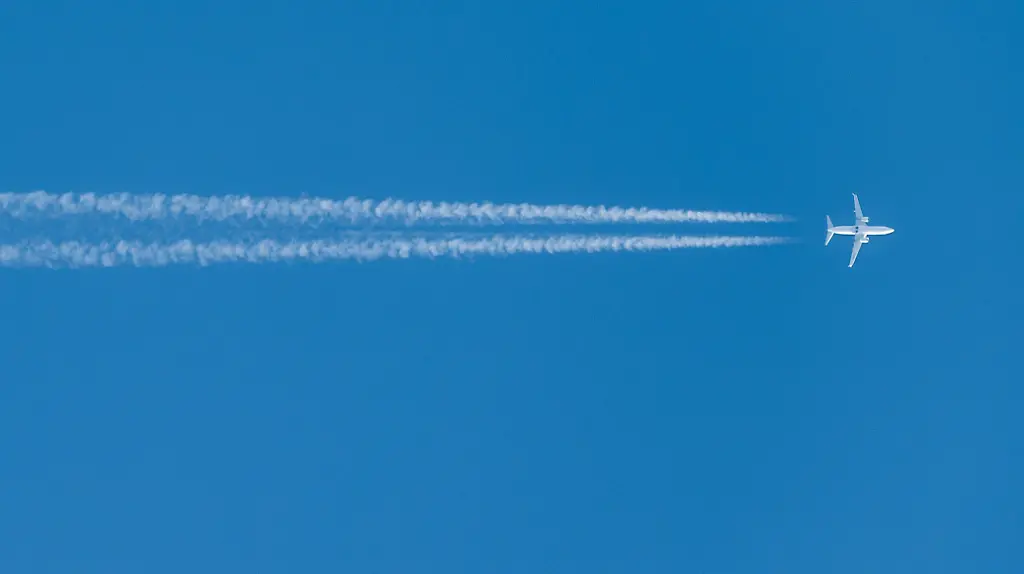 08ce163f11362d0ebf1157e49ff8c5f3