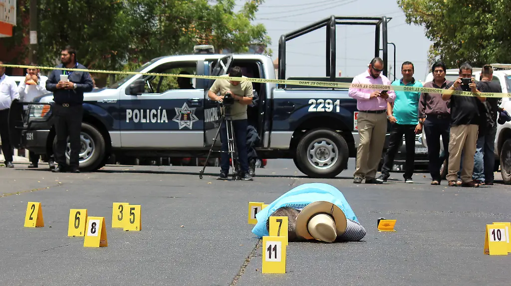 cdf3df2077e74b3bdbc051950a056003