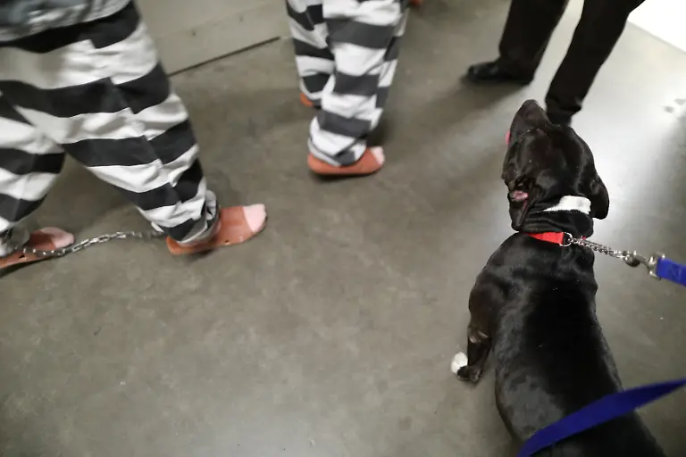 3224c550dde9b5690704c35baecccc56