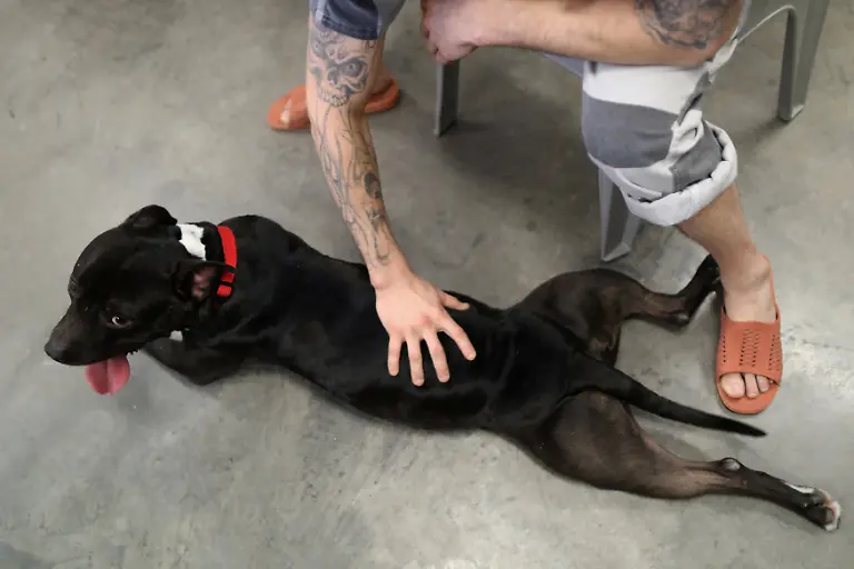 a32b57ea6629ec7441b251fb0e66473d