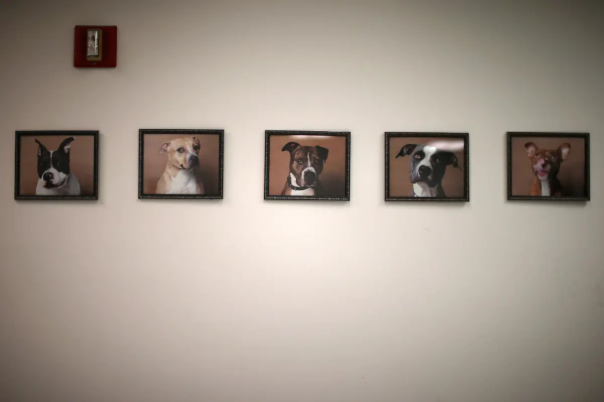 316f97306fa154f995153bf957021cb6