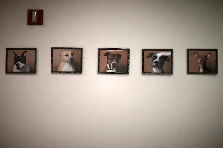 316f97306fa154f995153bf957021cb6