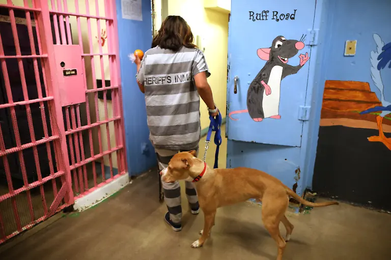 00e65cb79fa8780c3db9f6c1d11ab290