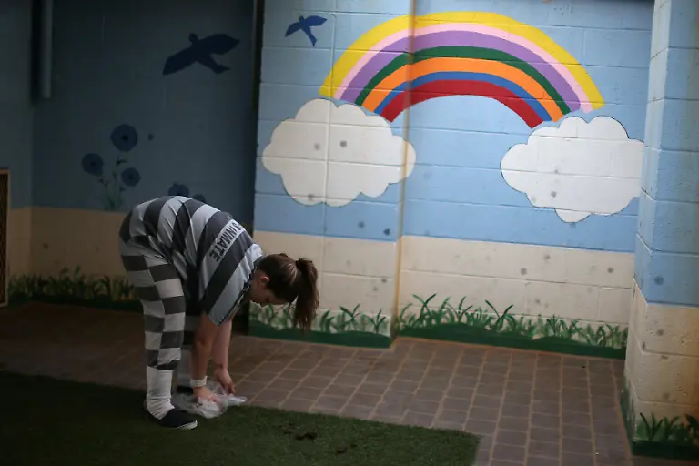 ad2d1eca8edb83ce9f1f61239b0312a3