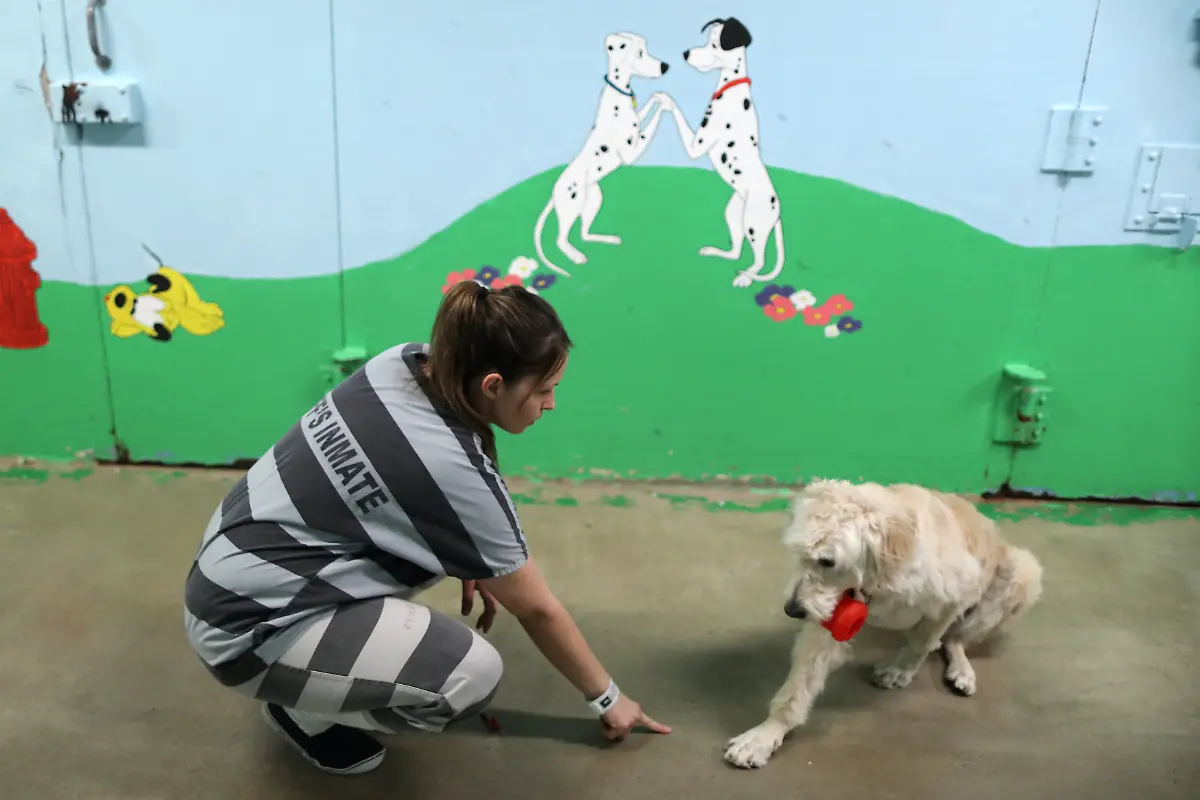 1df13216ac1c077aa7b53287271fd795