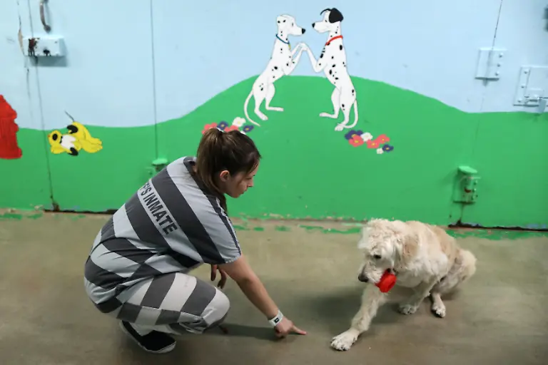 1df13216ac1c077aa7b53287271fd795