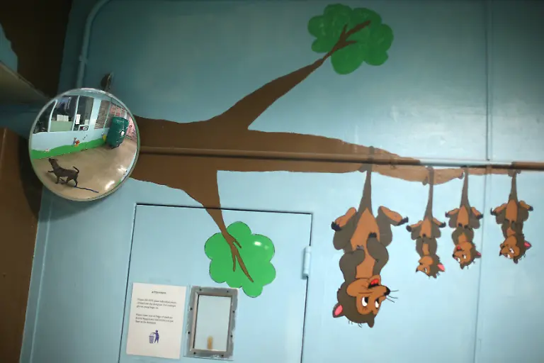 8601283dea239947de89c9e9c41fc11b