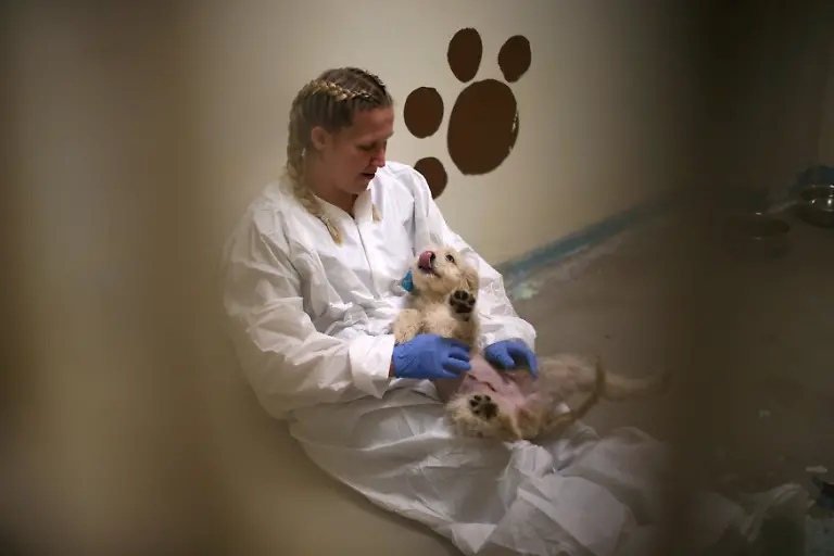 6e04c1b8666e8399b200599cb1c1b996