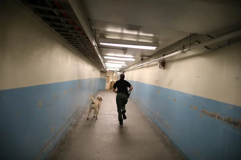 cc6b35faffbc7e9d9fb6ee2f3781840a