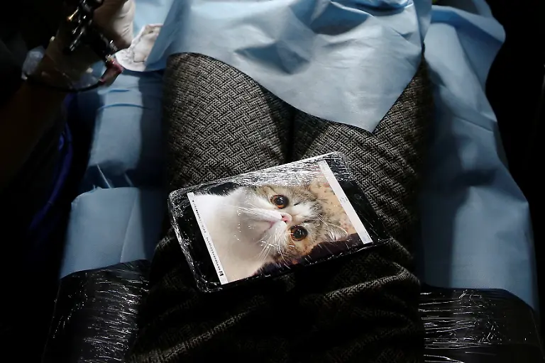 33c12989ada2b9b7cb773f45478367c4