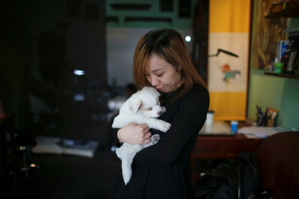 0bd0b2e02fb55623a639a5be54556320