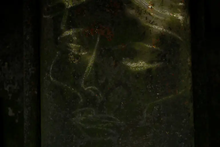 fcbfa9ae9fd1423655aec4806a8c9c76