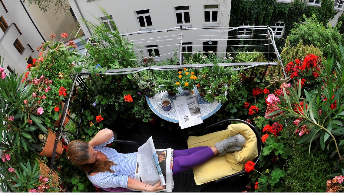 Balkon_Blumen.jpg