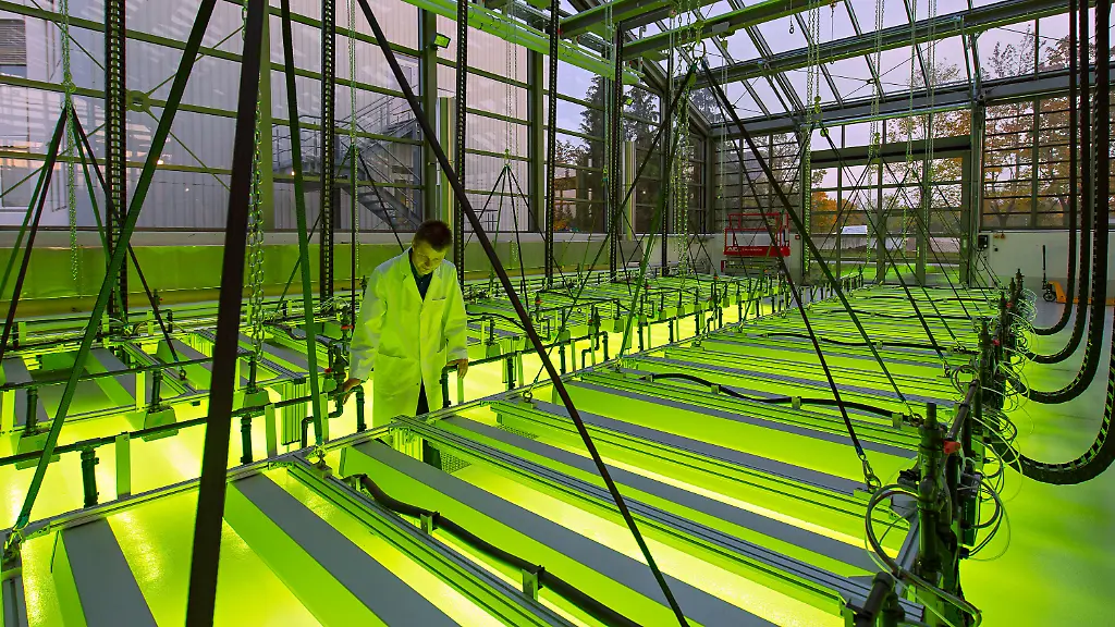 09f4d6762af1c000888f9fdbee762e03