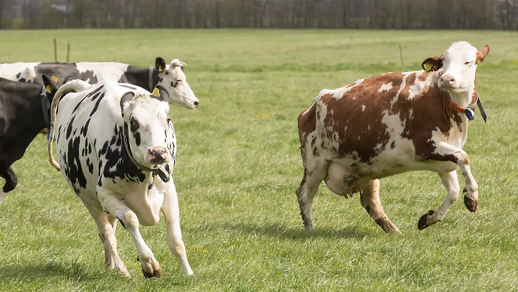 5f84d6a2cd7343d94ccd31681caf23df