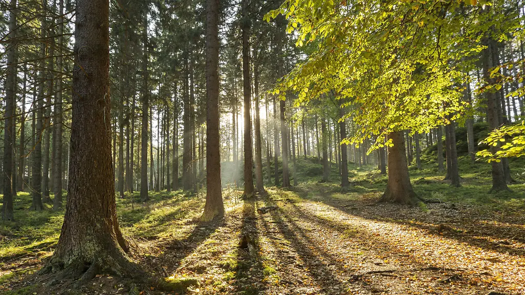 49ceeafd7a09f48639727f4ec9e2420b