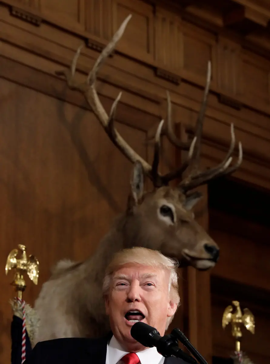 439f94992b4ef198a2d3e79074fbfe91