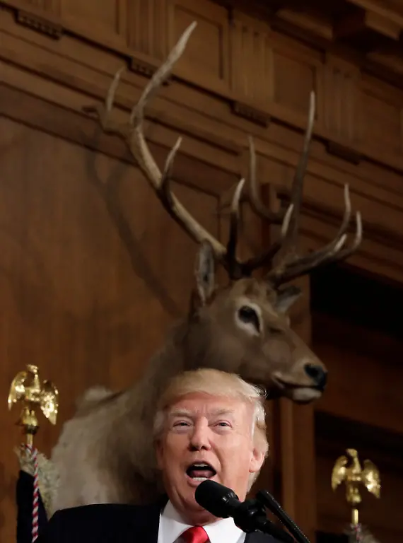 439f94992b4ef198a2d3e79074fbfe91